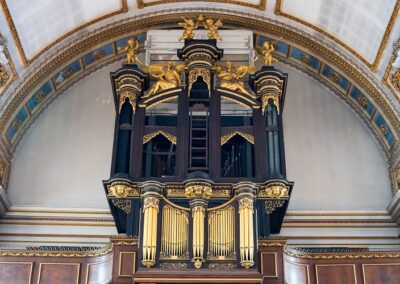 Organ SJP (c) Natalie Sternberg