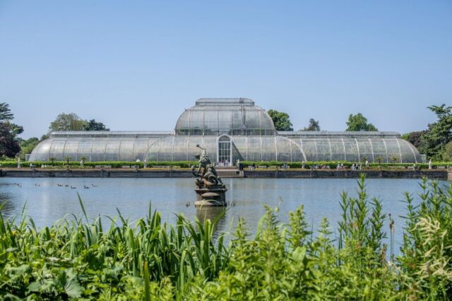 Kew’s Palm House renovation project